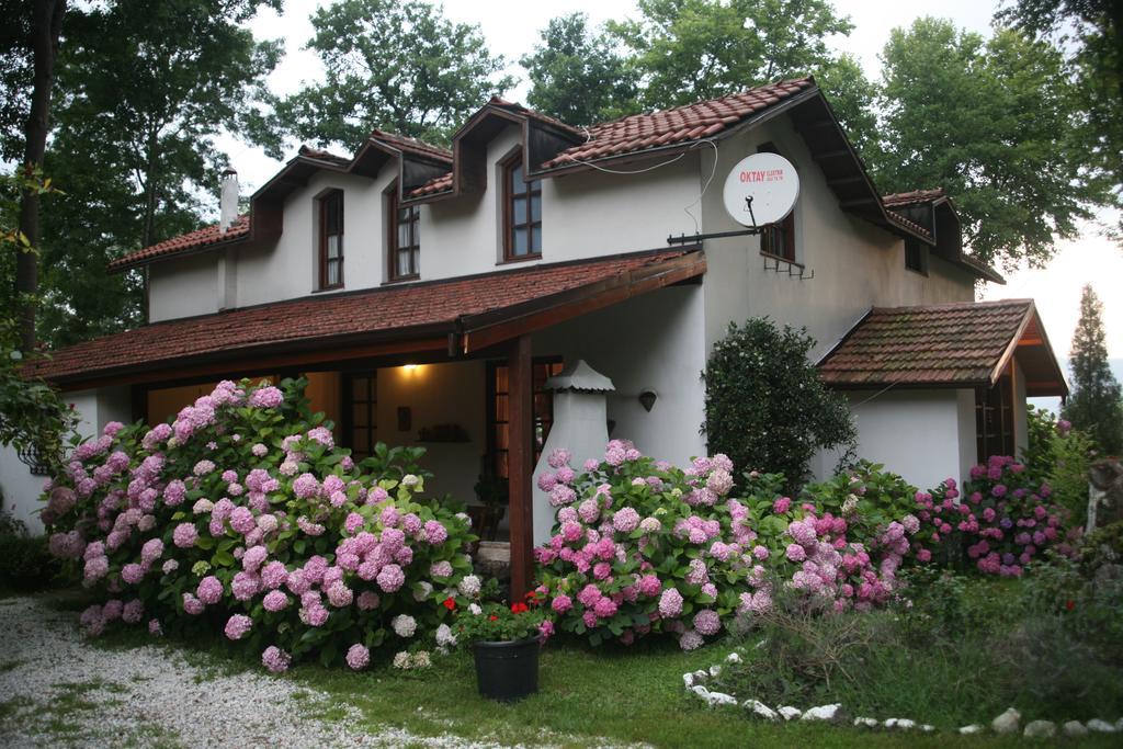 Beta Home Lake House Sapanca Ruang foto